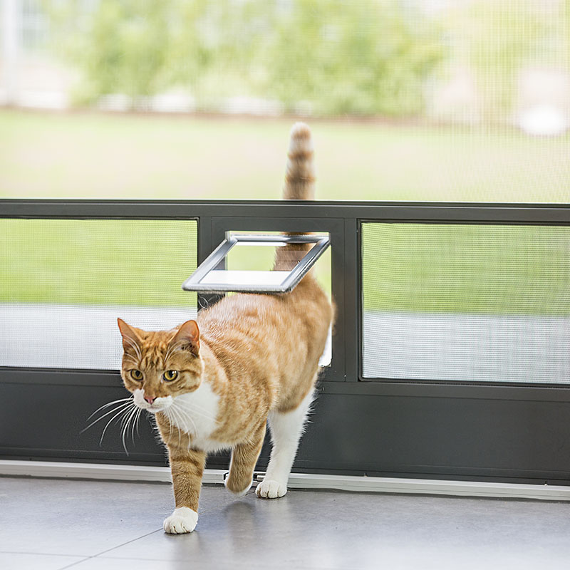 Insektenschutzgitter Katzenklappe